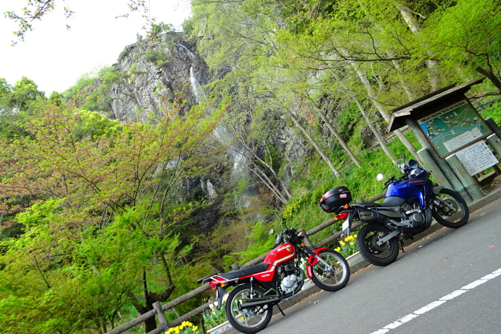 f:id:gan_jiro:20180407150939j:plain f:id:gan_jiro:20180407150939j:plain