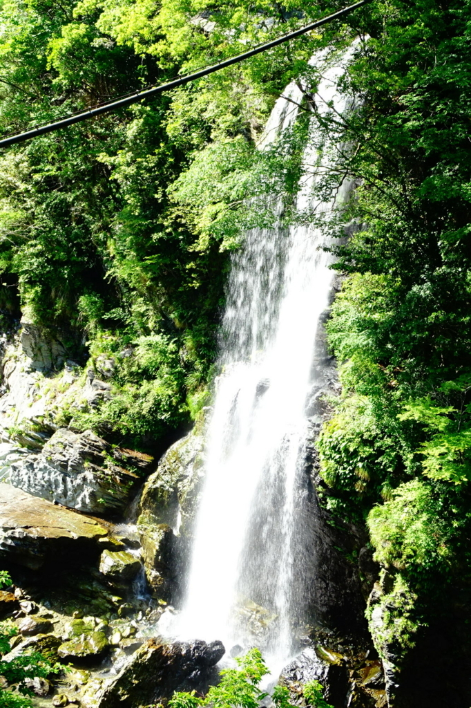 f:id:gan_jiro:20180526154220j:plain f:id:gan_jiro:20180526154220j:plain