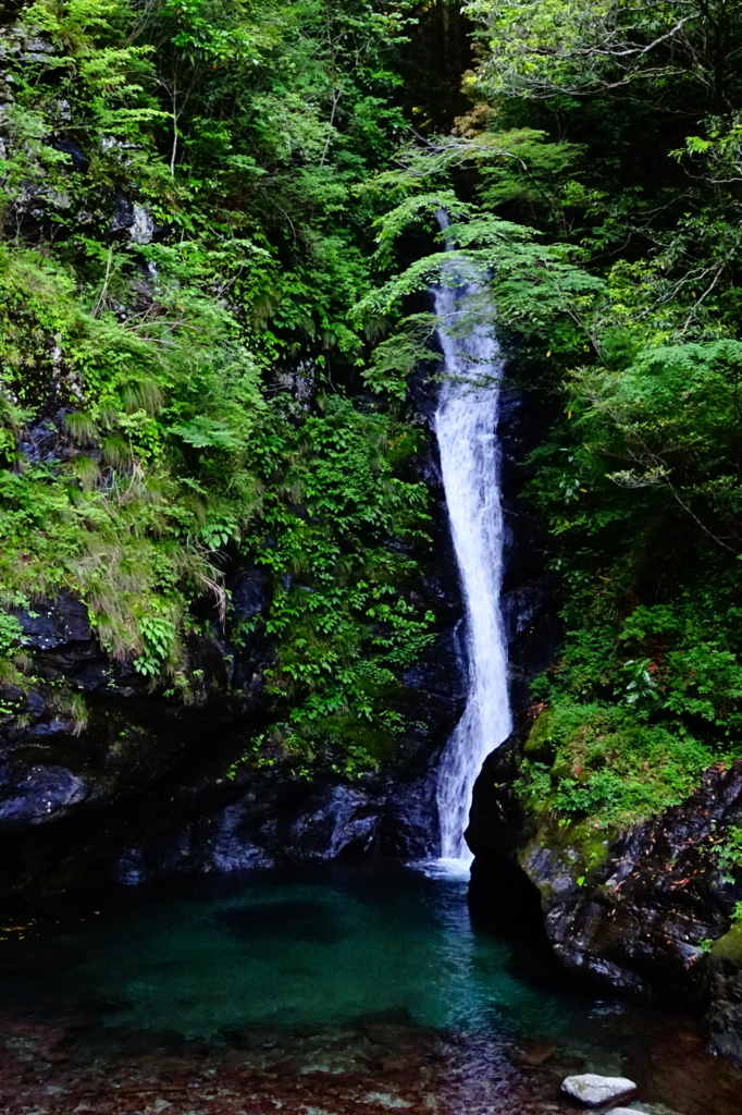 f:id:gan_jiro:20180526154734j:plain f:id:gan_jiro:20180526154734j:plain