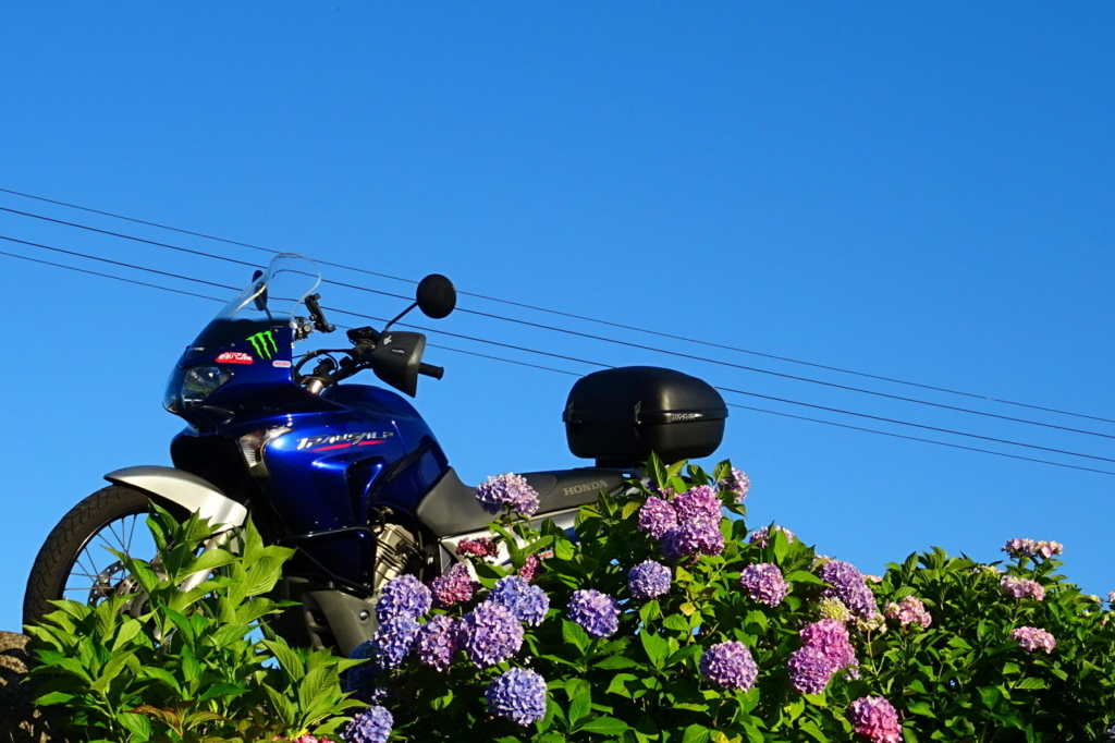 f:id:gan_jiro:20180613181134j:plain f:id:gan_jiro:20180613181134j:plain