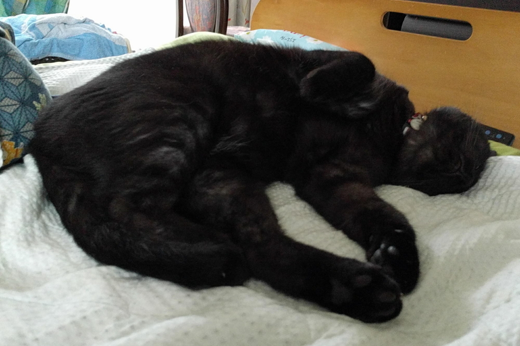 f:id:gan_jiro:20180705072928j:plain