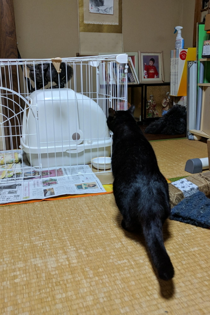 f:id:gan_jiro:20180712211627j:plain