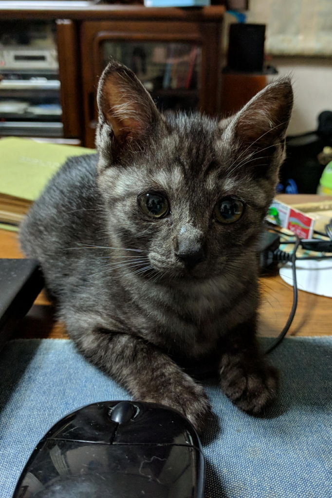 f:id:gan_jiro:20180712223604j:plain