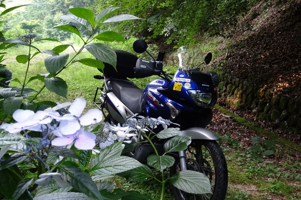 f:id:gan_jiro:20180719161803j:plain f:id:gan_jiro:20180719161803j:plain