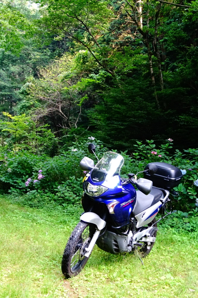 f:id:gan_jiro:20180719162004j:plain f:id:gan_jiro:20180719162004j:plain