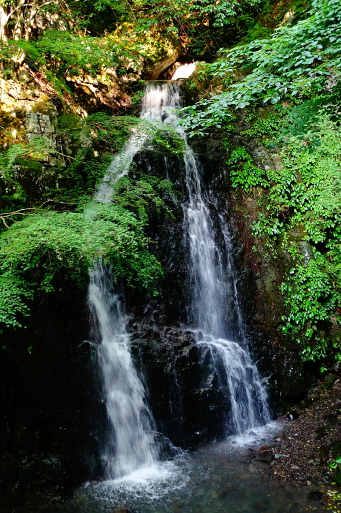 f:id:gan_jiro:20180719162901j:plain f:id:gan_jiro:20180719162901j:plain