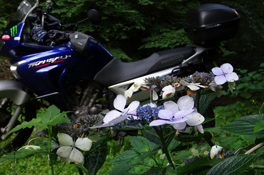 f:id:gan_jiro:20180719163608j:plain f:id:gan_jiro:20180719163608j:plain