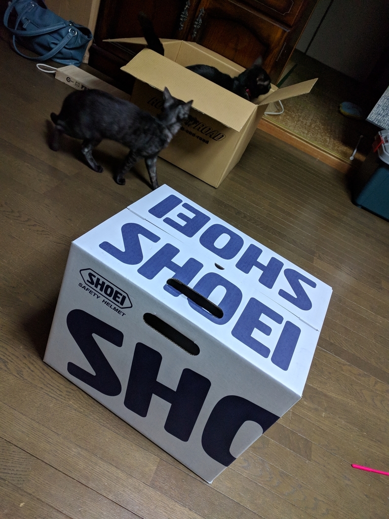 f:id:gan_jiro:20181017182008j:plain f:id:gan_jiro:20181017182008j:plain