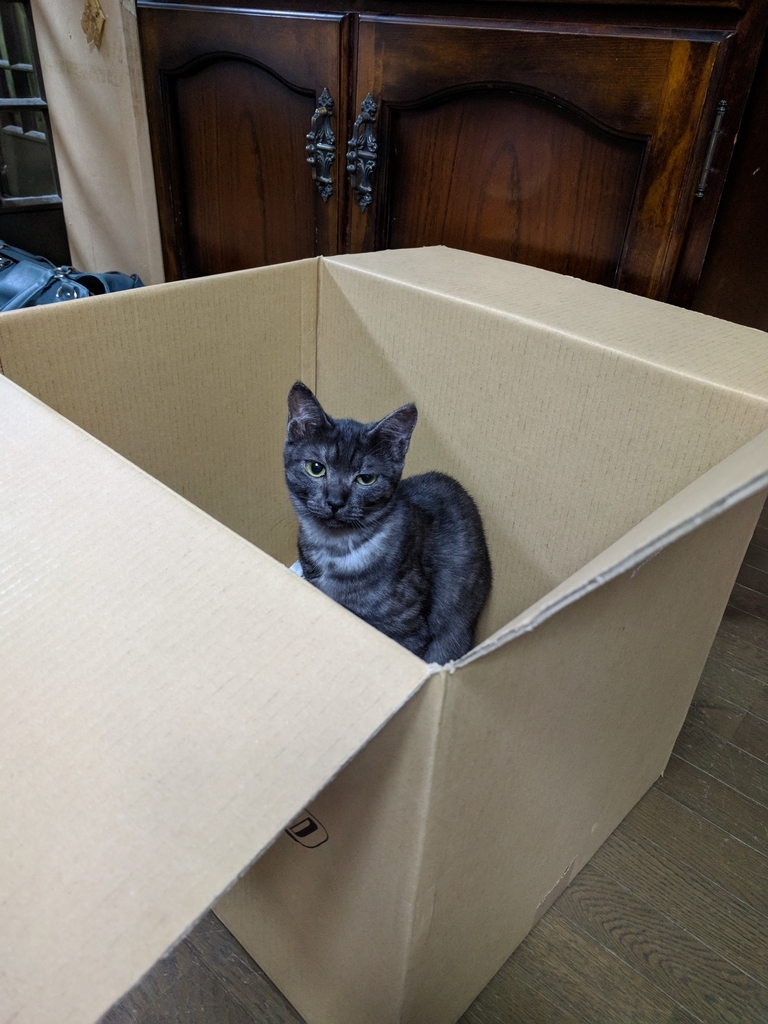 f:id:gan_jiro:20181017201344j:plain f:id:gan_jiro:20181017201344j:plain