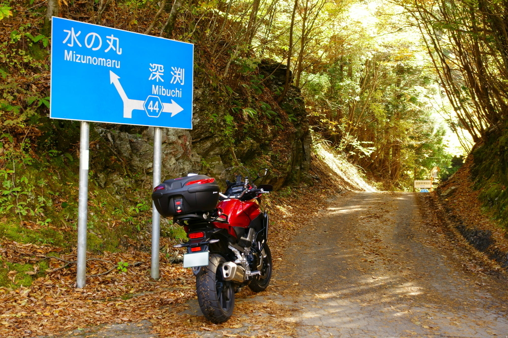 f:id:gan_jiro:20181027135021j:plain f:id:gan_jiro:20181027135021j:plain