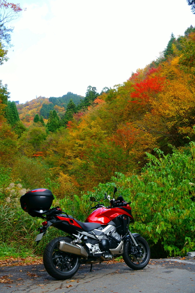 f:id:gan_jiro:20181027140431j:plain f:id:gan_jiro:20181027140431j:plain