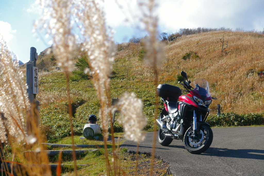 f:id:gan_jiro:20181027143544j:plain f:id:gan_jiro:20181027143544j:plain