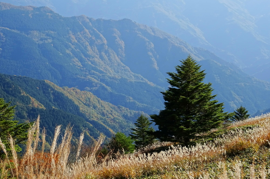 f:id:gan_jiro:20181027144123j:plain f:id:gan_jiro:20181027144123j:plain