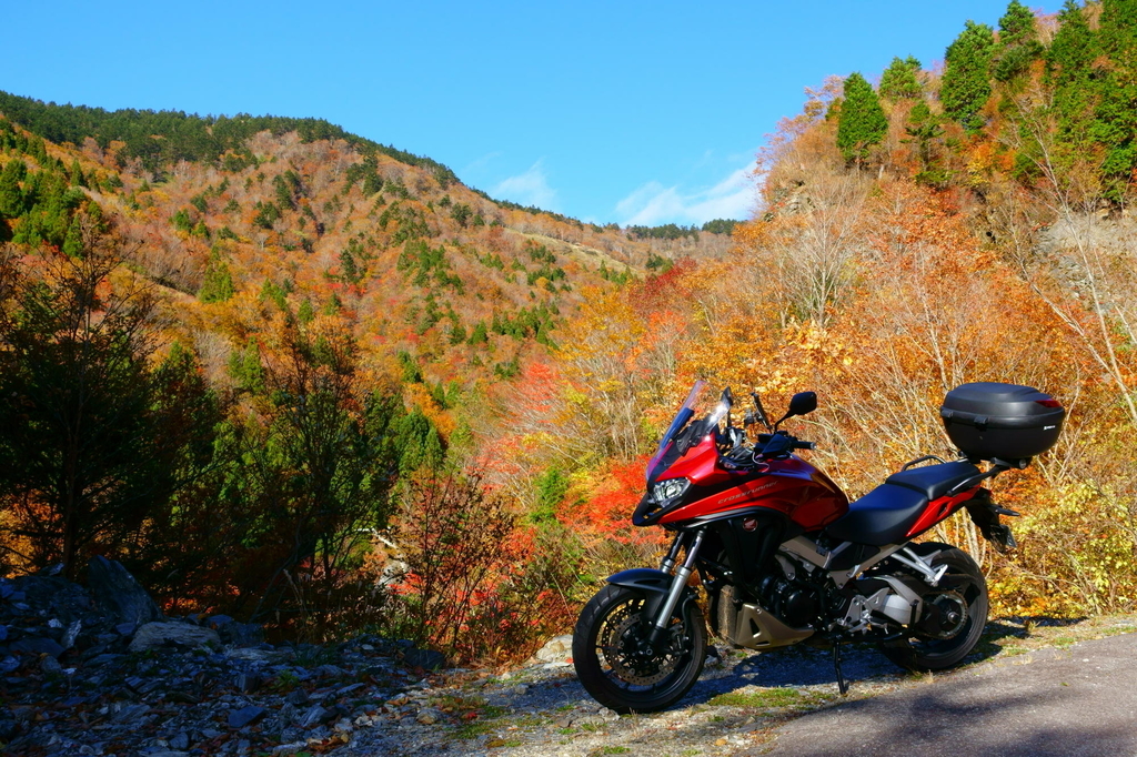 f:id:gan_jiro:20181027145819j:plain f:id:gan_jiro:20181027145819j:plain