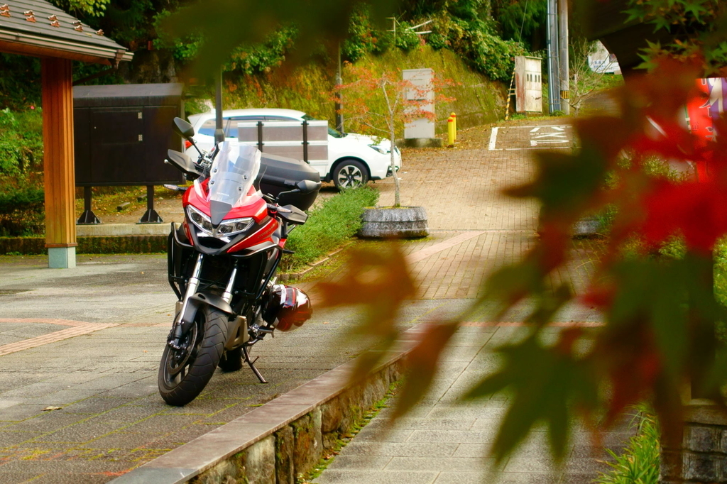 f:id:gan_jiro:20181027161221j:plain f:id:gan_jiro:20181027161221j:plain