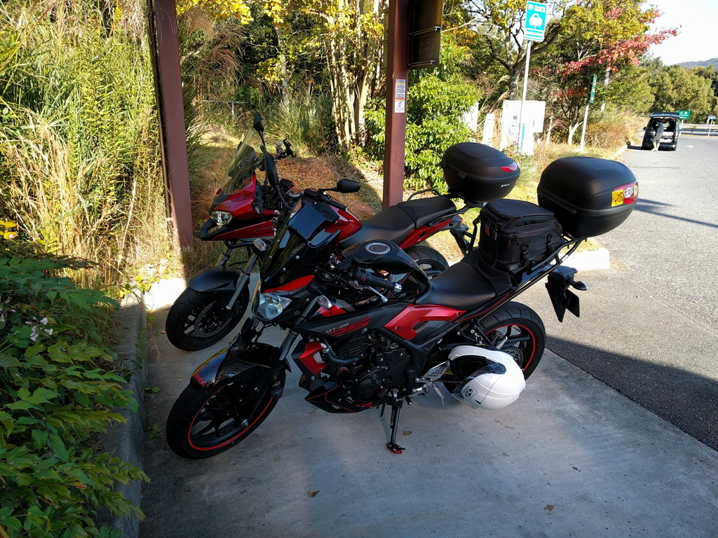 f:id:gan_jiro:20181103092012j:plain f:id:gan_jiro:20181103092012j:plain