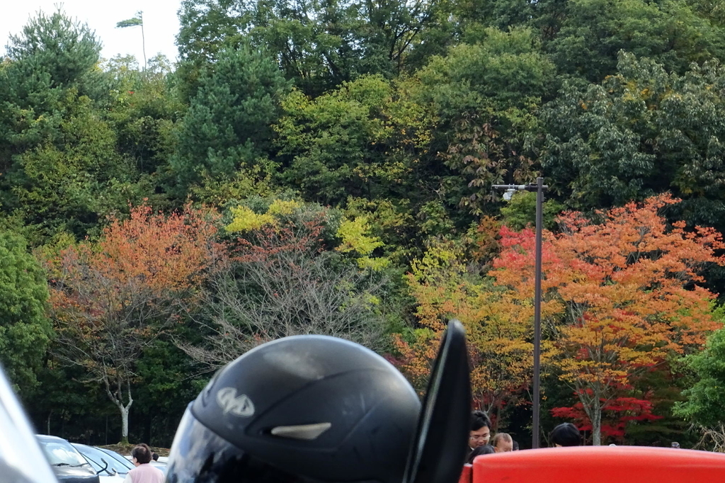 f:id:gan_jiro:20181103110612j:plain f:id:gan_jiro:20181103110612j:plain