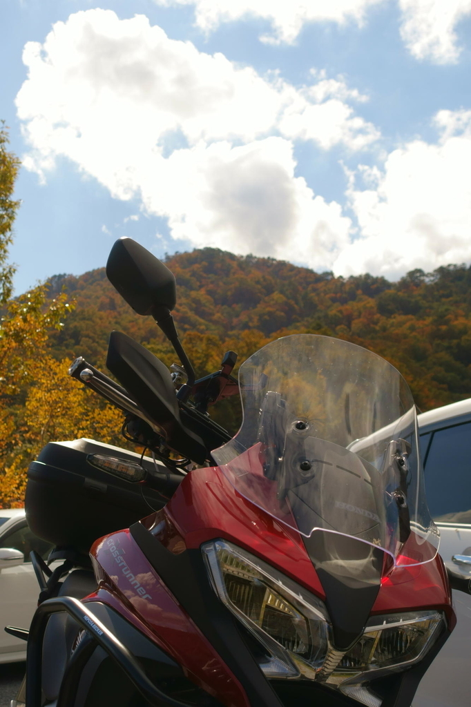 f:id:gan_jiro:20181103122109j:plain f:id:gan_jiro:20181103122109j:plain