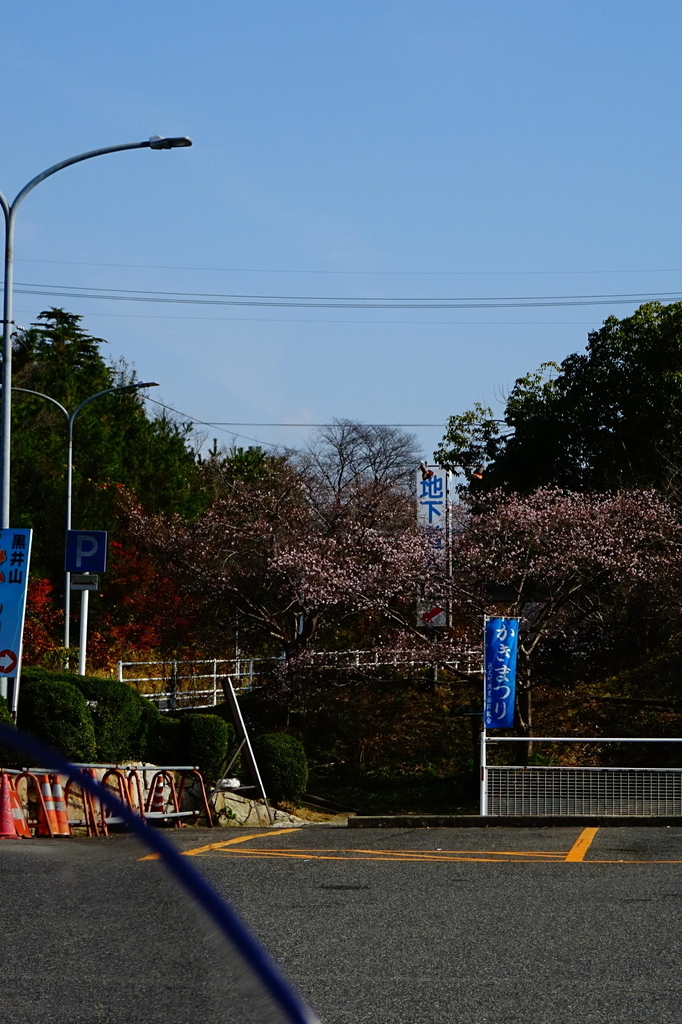 f:id:gan_jiro:20181201111202j:plain f:id:gan_jiro:20181201111202j:plain