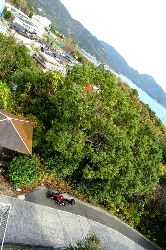 f:id:gan_jiro:20181201123232j:plain f:id:gan_jiro:20181201123232j:plain