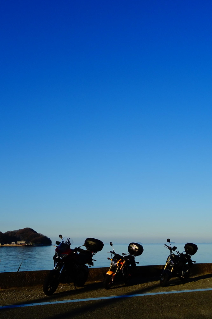 f:id:gan_jiro:20190119162152j:plain f:id:gan_jiro:20190119162152j:plain