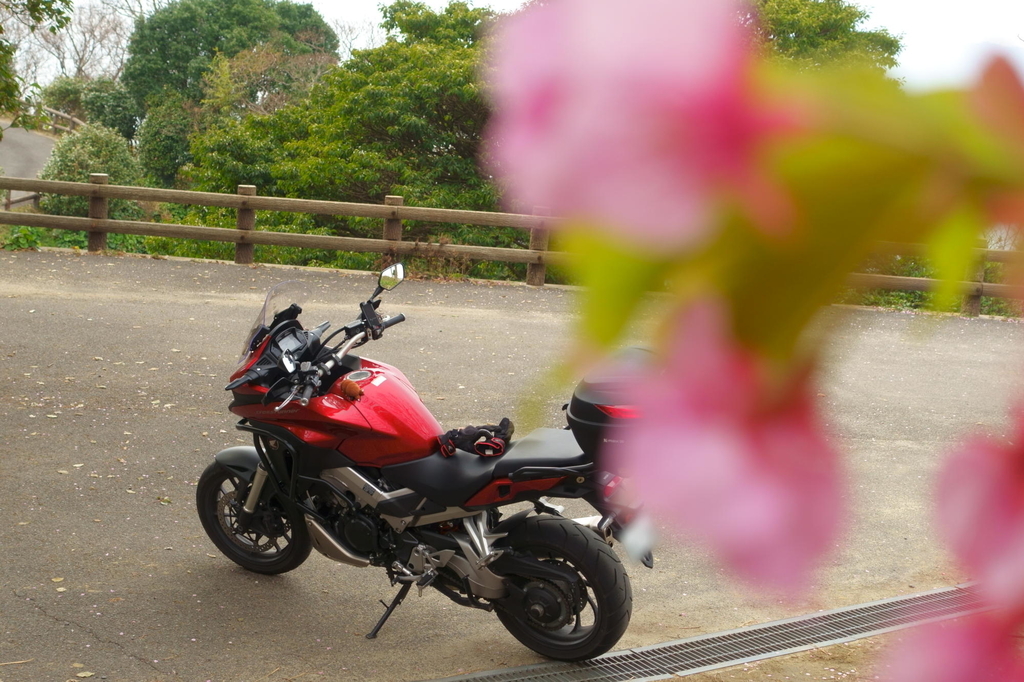 f:id:gan_jiro:20190302143619j:plain f:id:gan_jiro:20190302143619j:plain