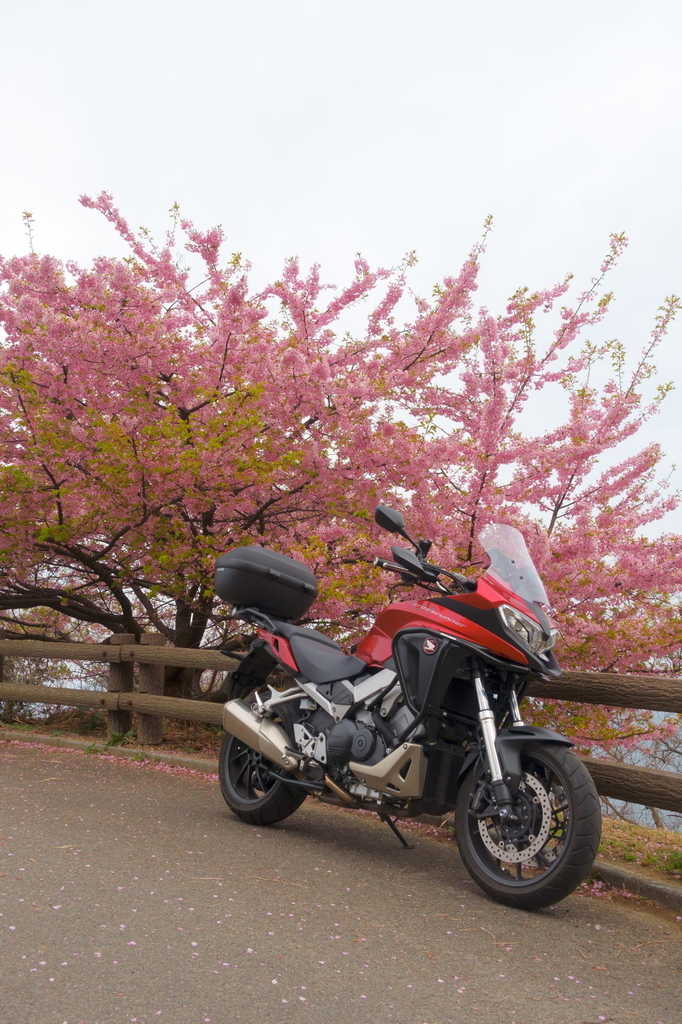 f:id:gan_jiro:20190302145812j:plain f:id:gan_jiro:20190302145812j:plain