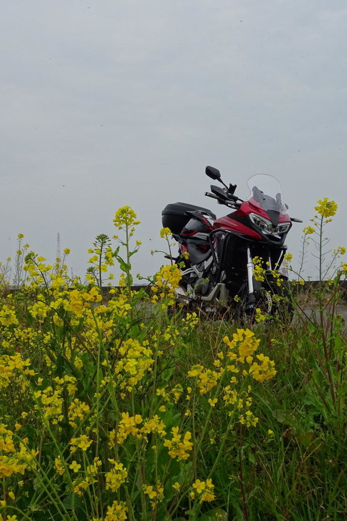 f:id:gan_jiro:20190302164317j:plain f:id:gan_jiro:20190302164317j:plain