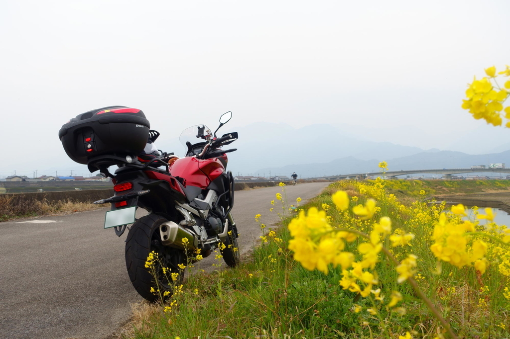 f:id:gan_jiro:20190302164448j:plain f:id:gan_jiro:20190302164448j:plain