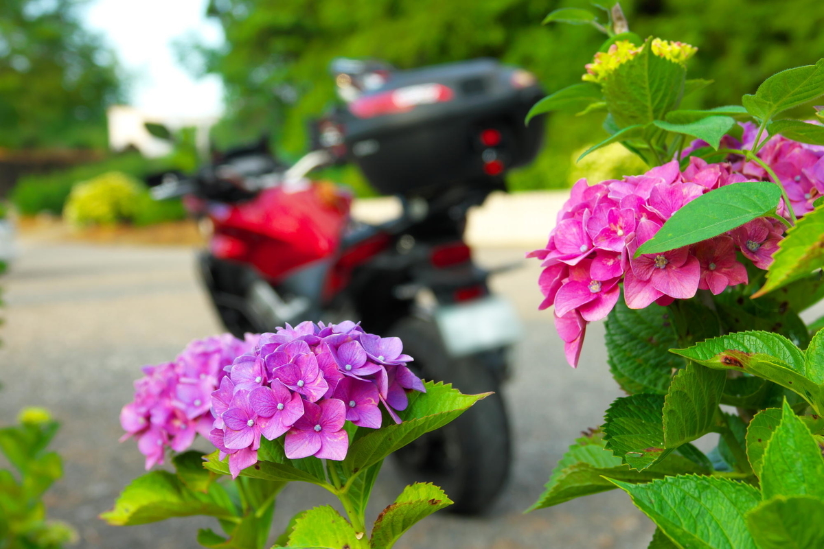 f:id:gan_jiro:20190613180400j:plain