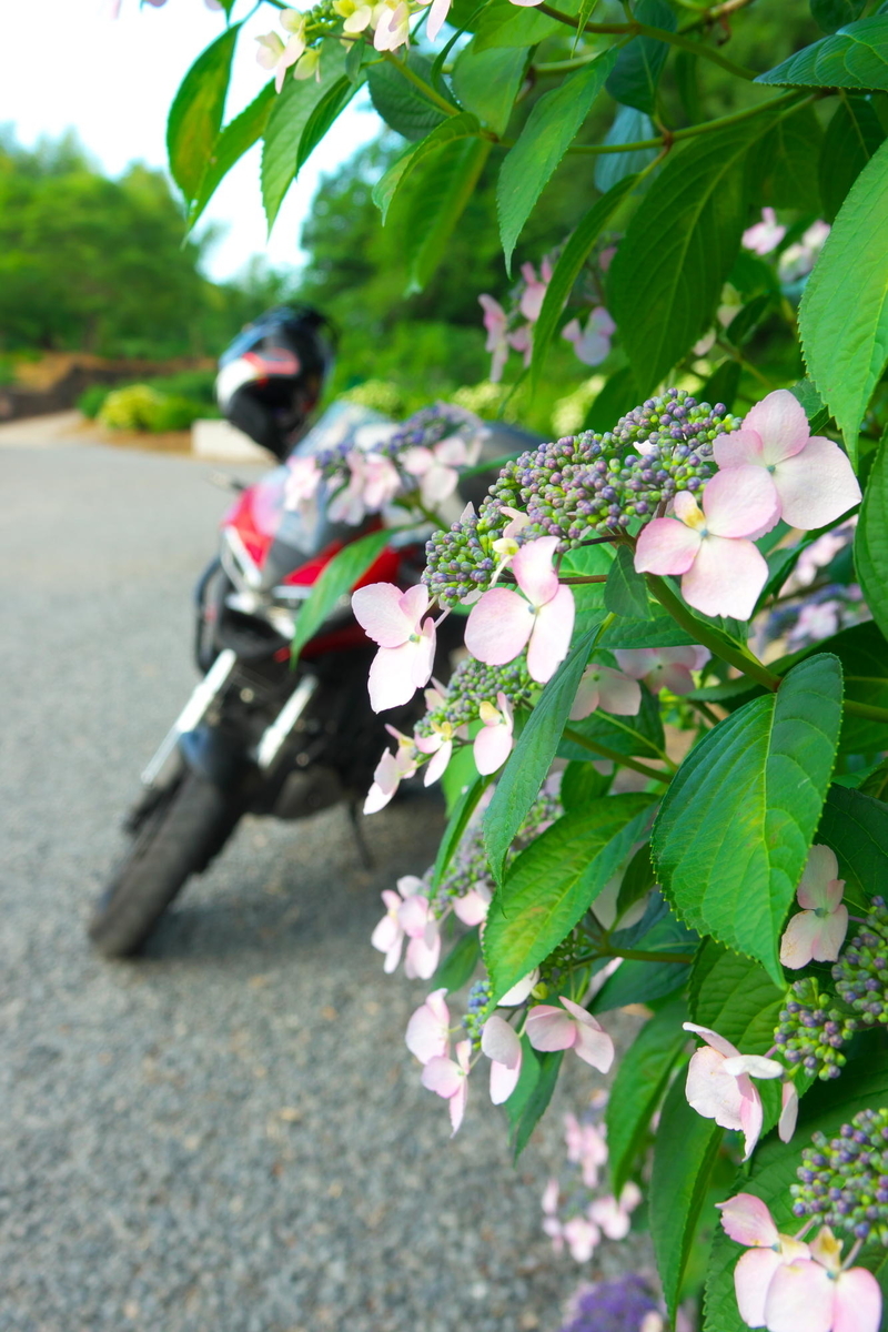 f:id:gan_jiro:20190613181047j:plain