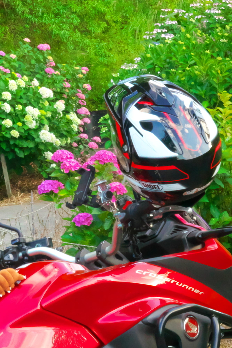 f:id:gan_jiro:20190613181324j:plain