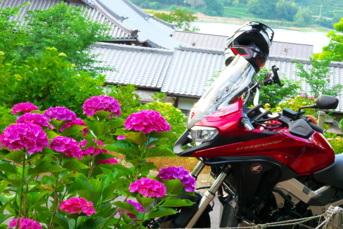 f:id:gan_jiro:20190613181414j:plain