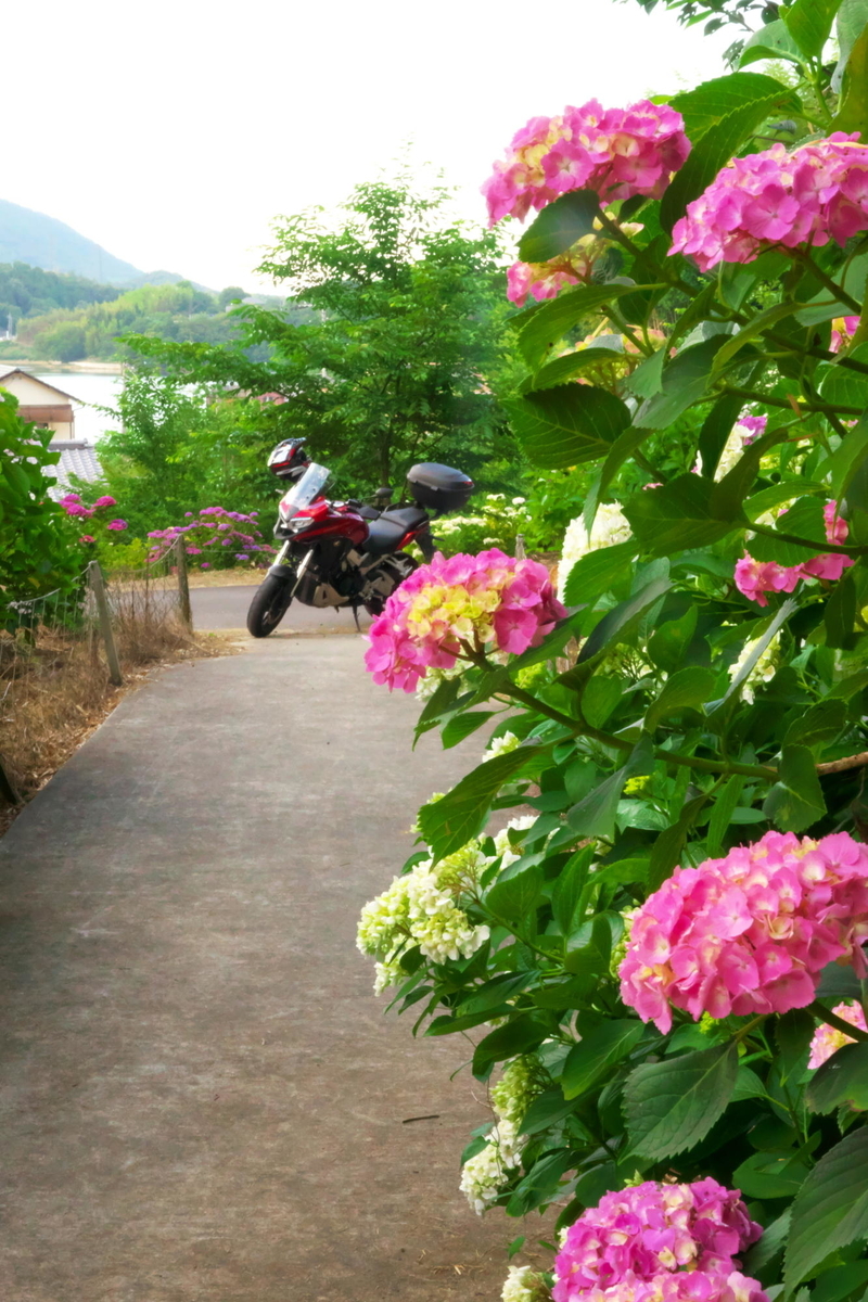 f:id:gan_jiro:20190613181622j:plain