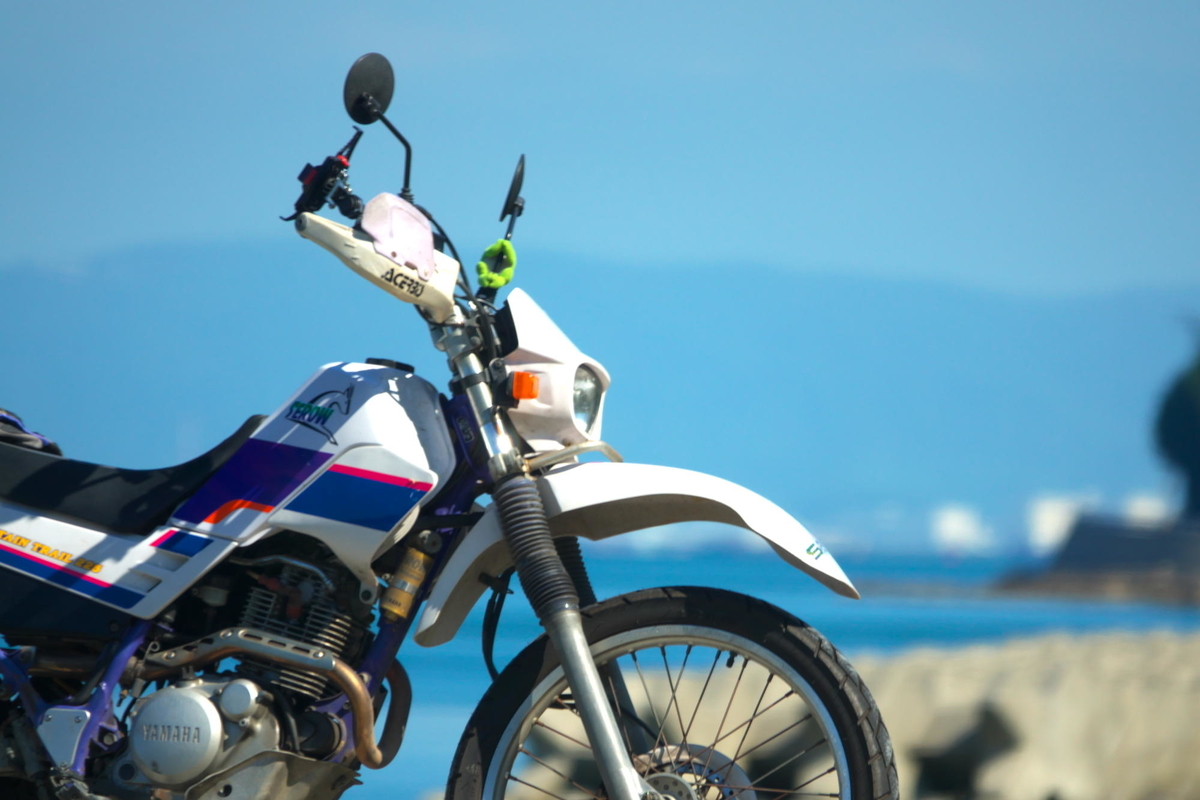 f:id:gan_jiro:20190625085350j:plain f:id:gan_jiro:20190625085350j:plain