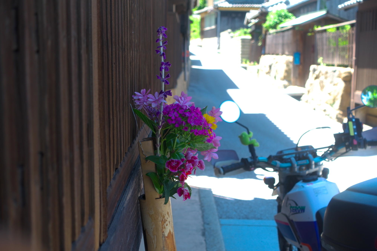 f:id:gan_jiro:20190625104223j:plain f:id:gan_jiro:20190625104223j:plain