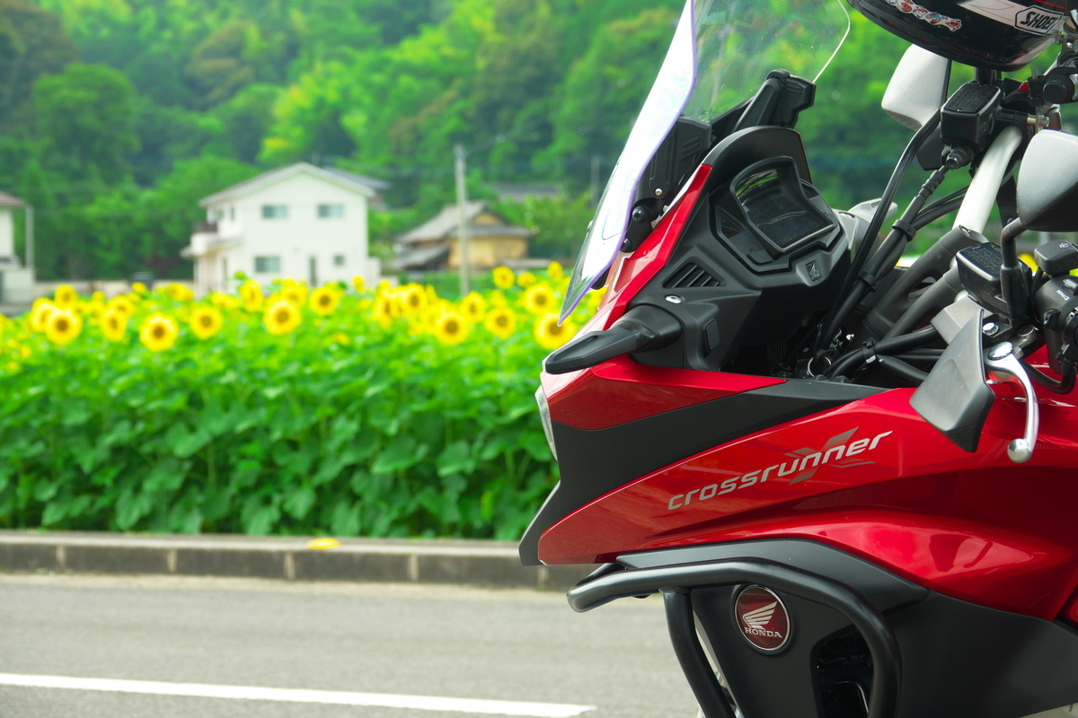 f:id:gan_jiro:20190706153140j:plain