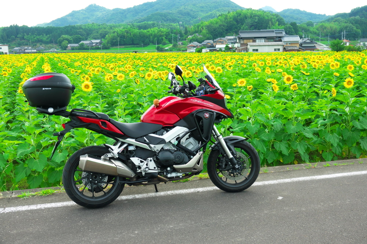 f:id:gan_jiro:20190706155116j:plain