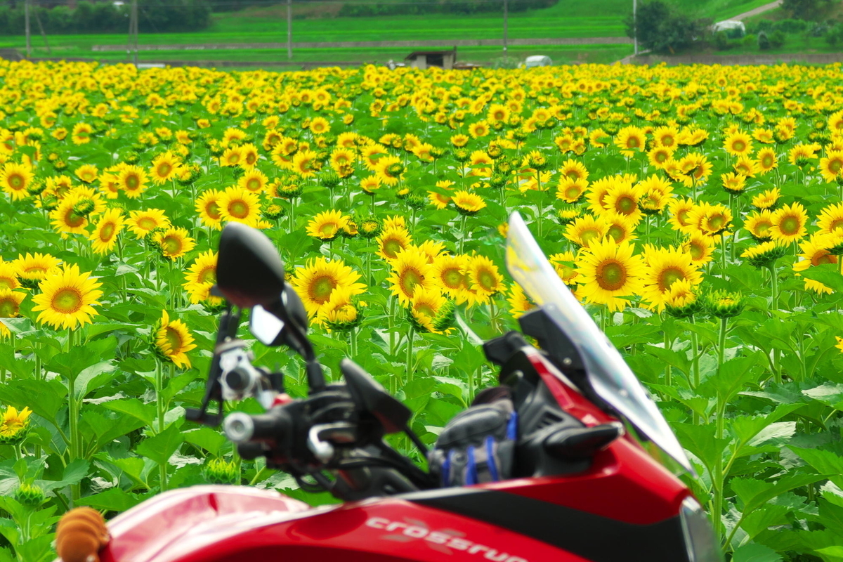 f:id:gan_jiro:20190706155457j:plain