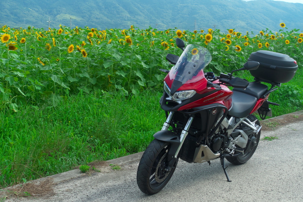 f:id:gan_jiro:20190707151621j:plain