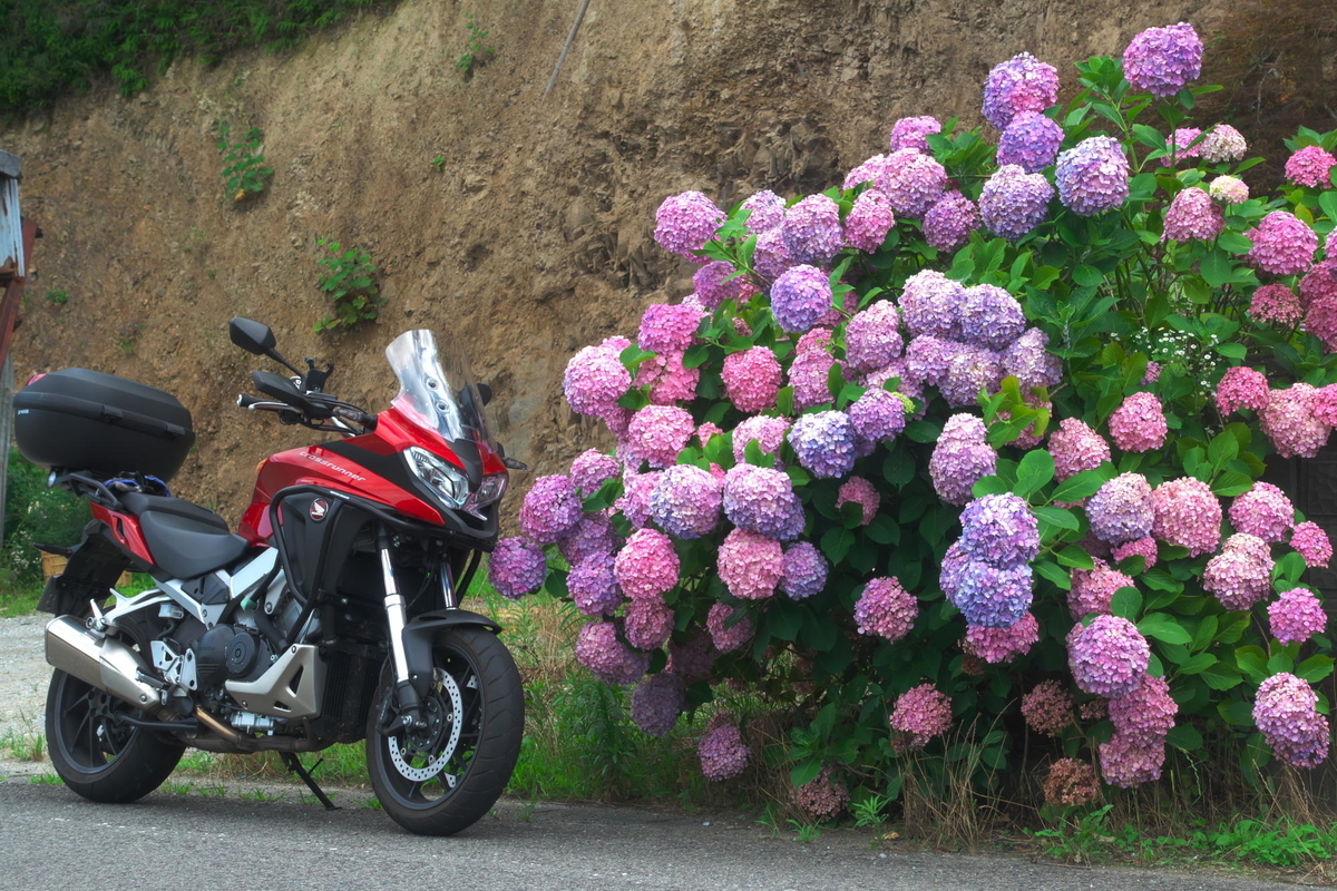 f:id:gan_jiro:20190707155255j:plain