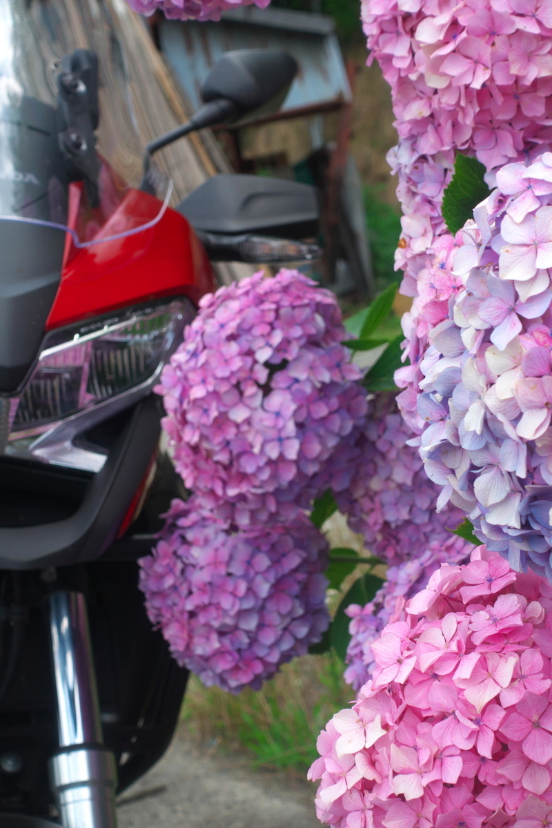 f:id:gan_jiro:20190707155333j:plain