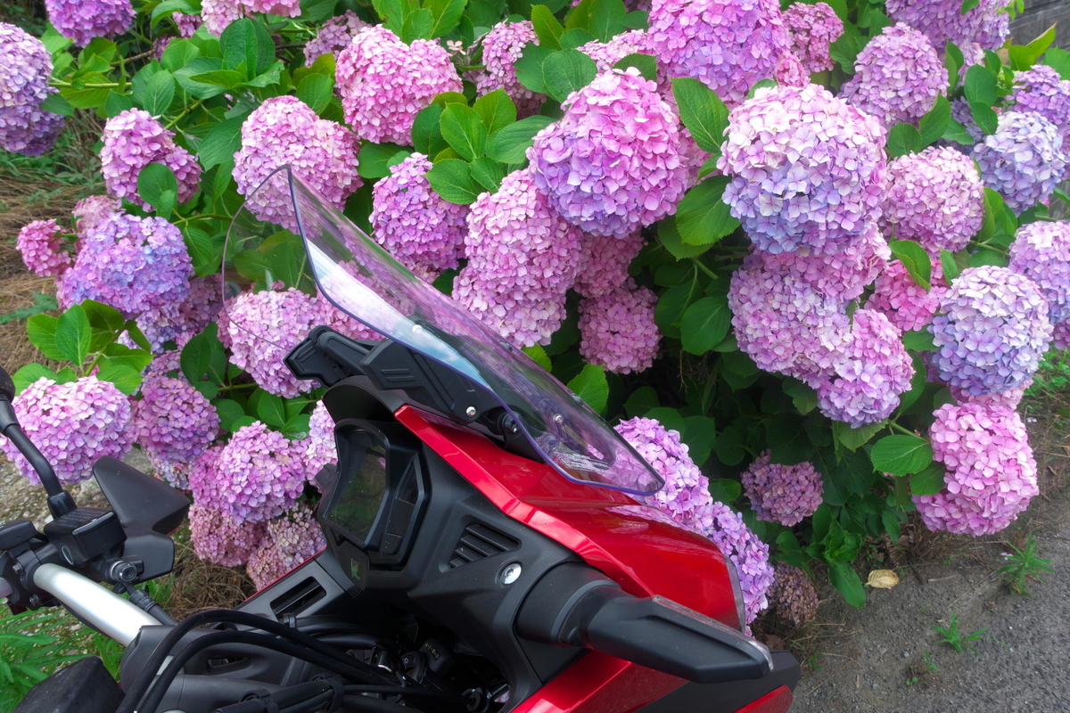 f:id:gan_jiro:20190707155356j:plain