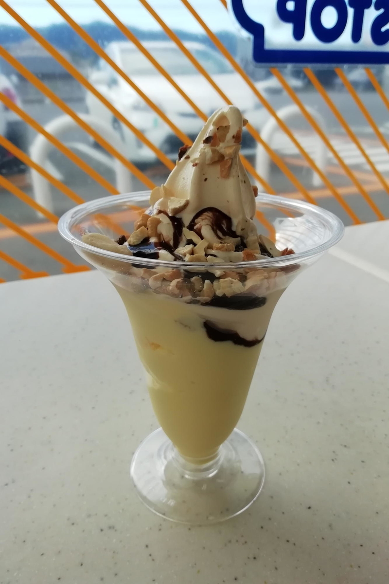 f:id:gan_jiro:20190923145454j:plain f:id:gan_jiro:20190923145454j:plain