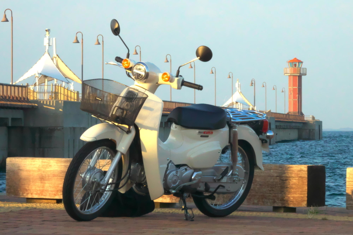 f:id:gan_jiro:20191005165622j:plain f:id:gan_jiro:20191005165622j:plain