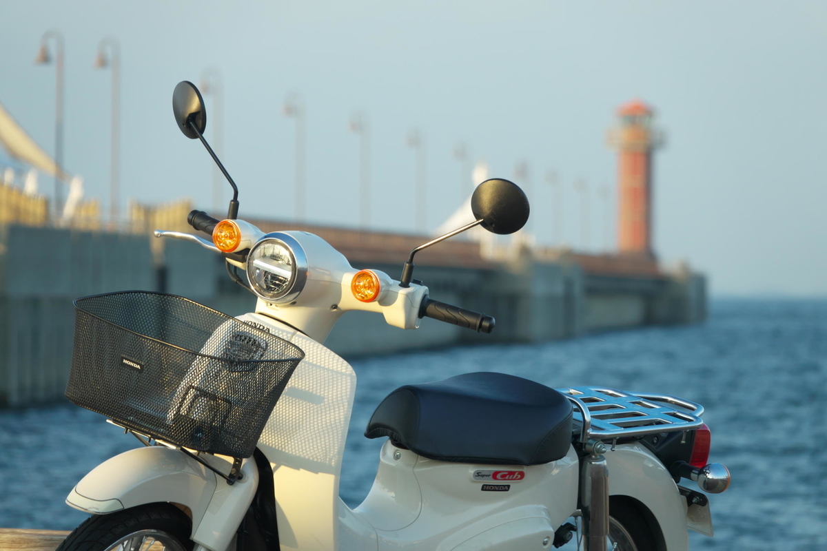 f:id:gan_jiro:20191005165652j:plain f:id:gan_jiro:20191005165652j:plain