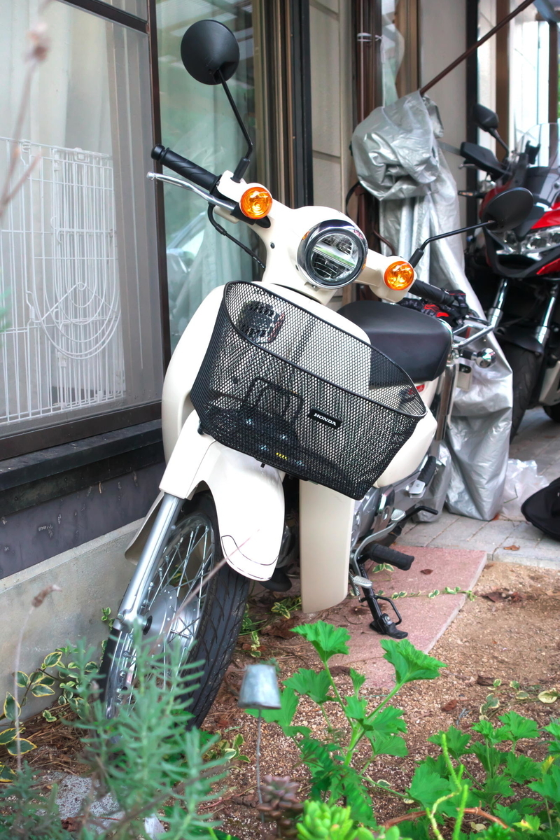 f:id:gan_jiro:20191005175458j:plain f:id:gan_jiro:20191005175458j:plain