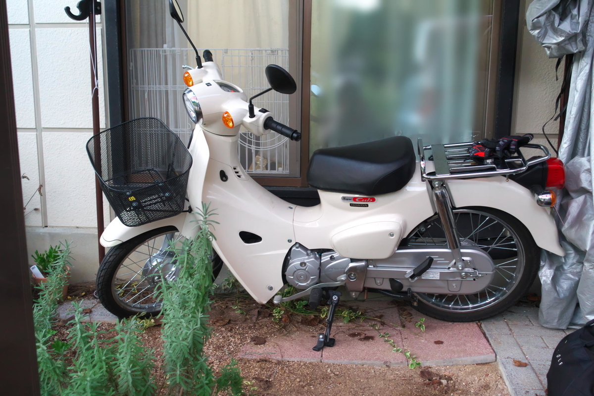 f:id:gan_jiro:20191005175512j:plain f:id:gan_jiro:20191005175512j:plain