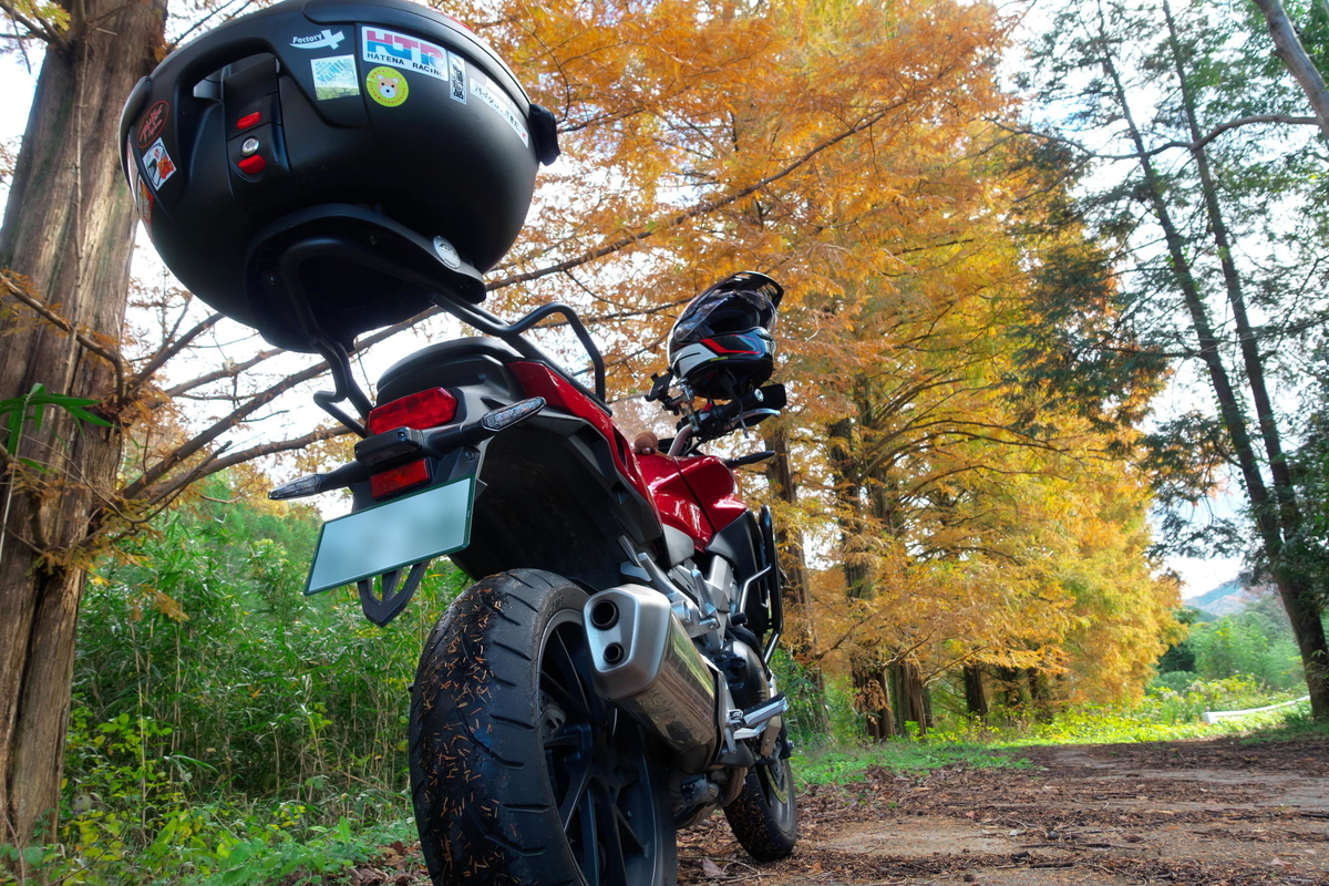 f:id:gan_jiro:20191130100825j:plain f:id:gan_jiro:20191130100825j:plain