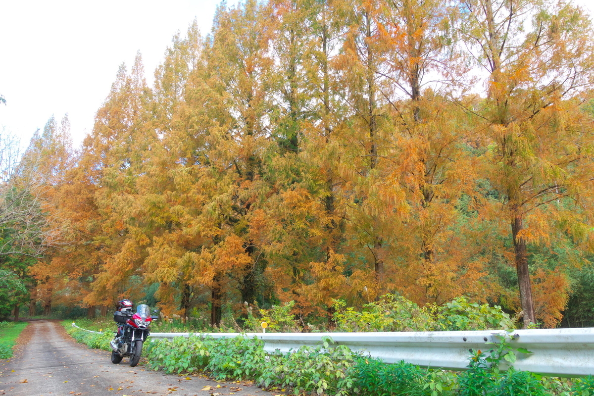 f:id:gan_jiro:20191130101128j:plain f:id:gan_jiro:20191130101128j:plain